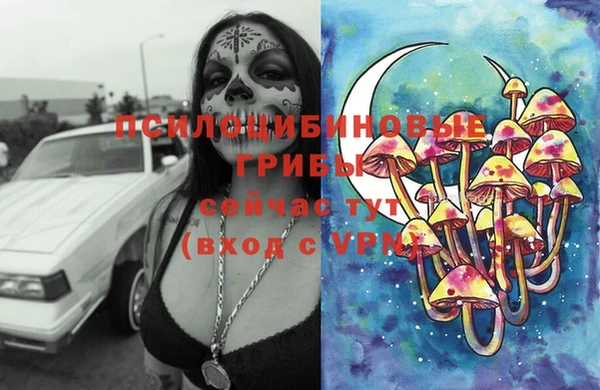 меф Весьегонск
