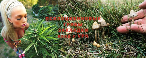 дурь Волоколамск