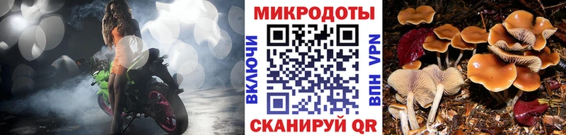 купить наркотик  Гагарин  Галлюциногенные грибы Psilocybine cubensis 